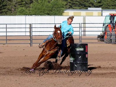 Barrel Horse, Trail Horse
