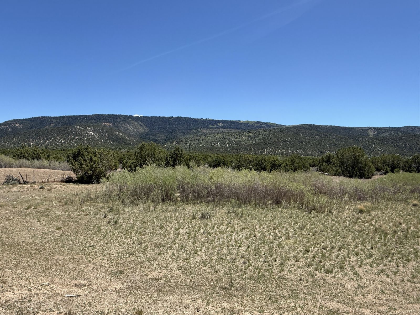Main image 10