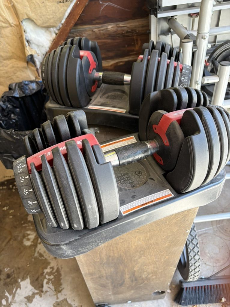 Bowflex adjustable Weights