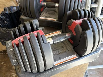 Bowflex adjustable Weights