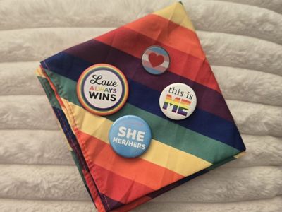 ️️️️️️LGBTQ+ Pride Pins & Rainbow Bandana *BUNDLE*️️️
