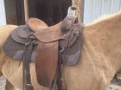 B Young Ranch Saddle 16”