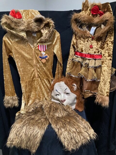 Wizard of Oz COWARDLY LION Set    Starting at $10