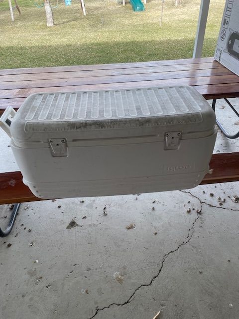 cooler large Igloo