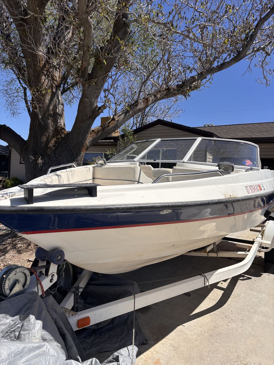 Bayliner