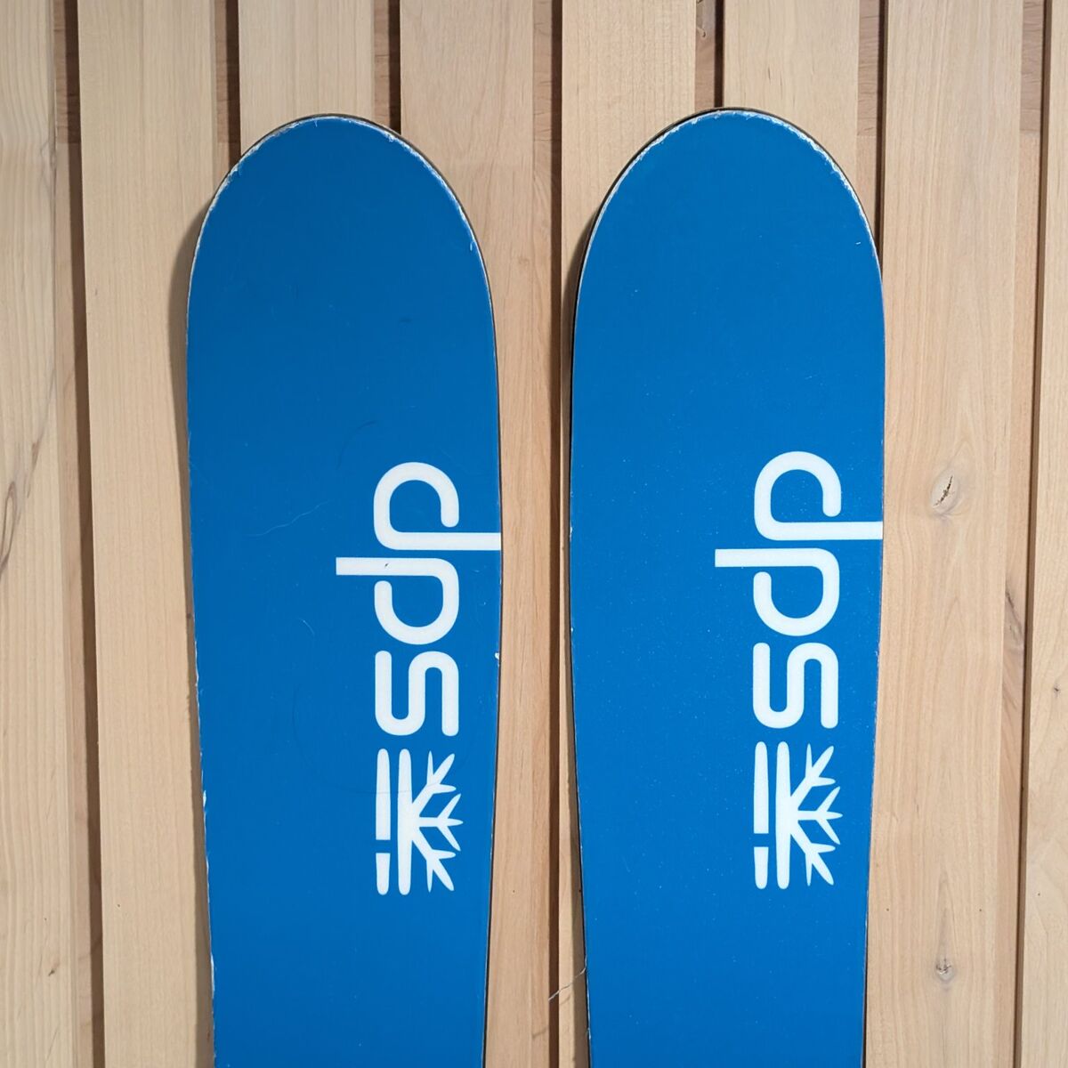 DPS Wailer Foundation 106