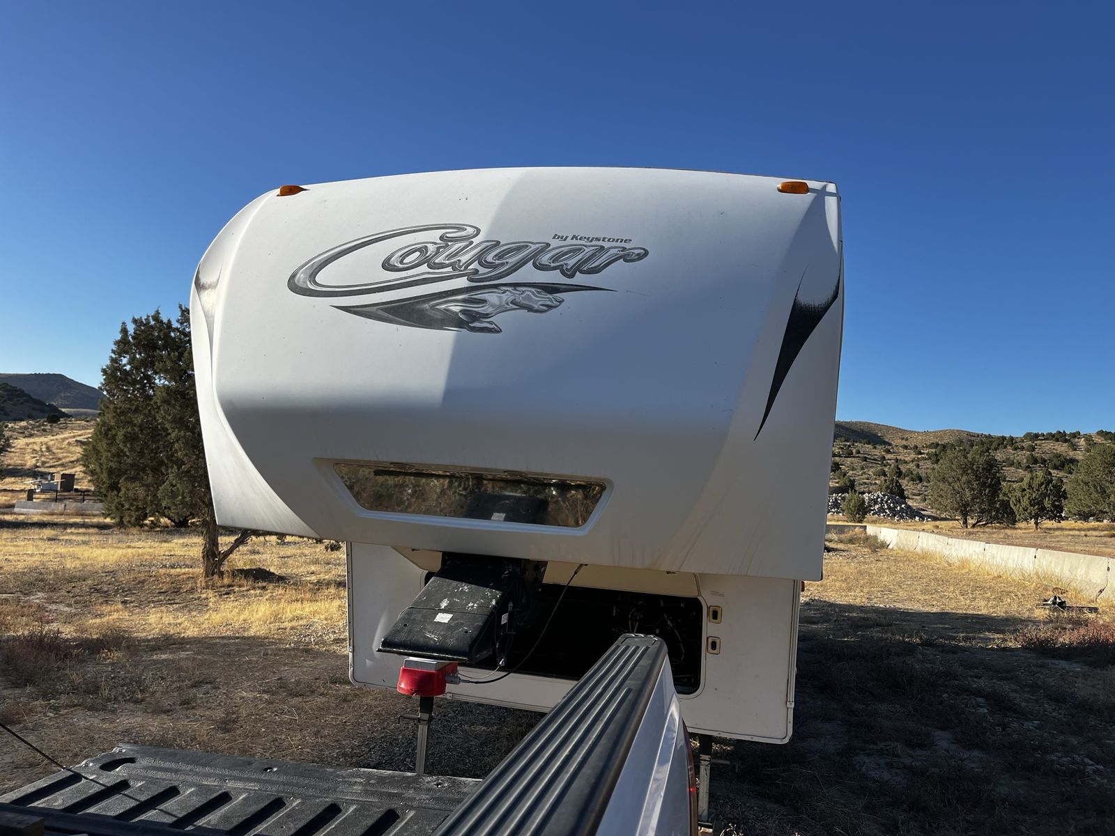 Keystone cougar