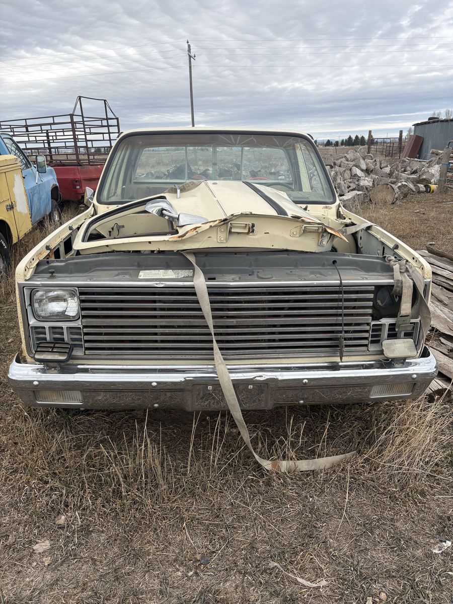 1983 parts pickup