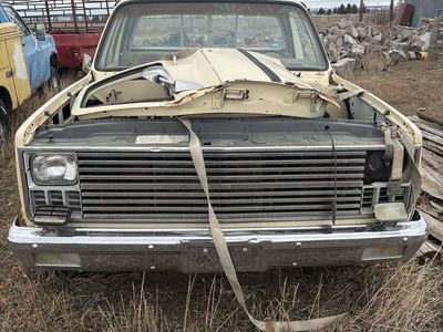 1983 parts pickup