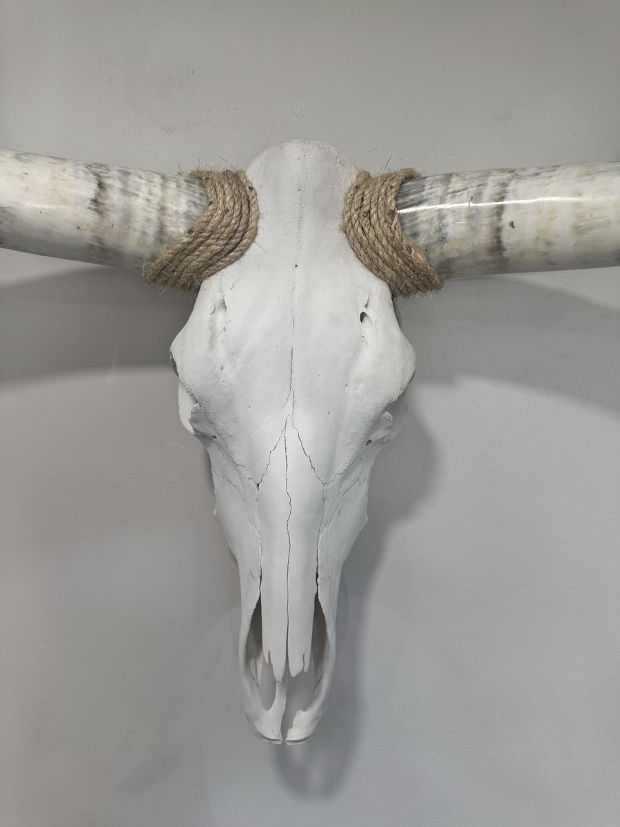 Main image 4