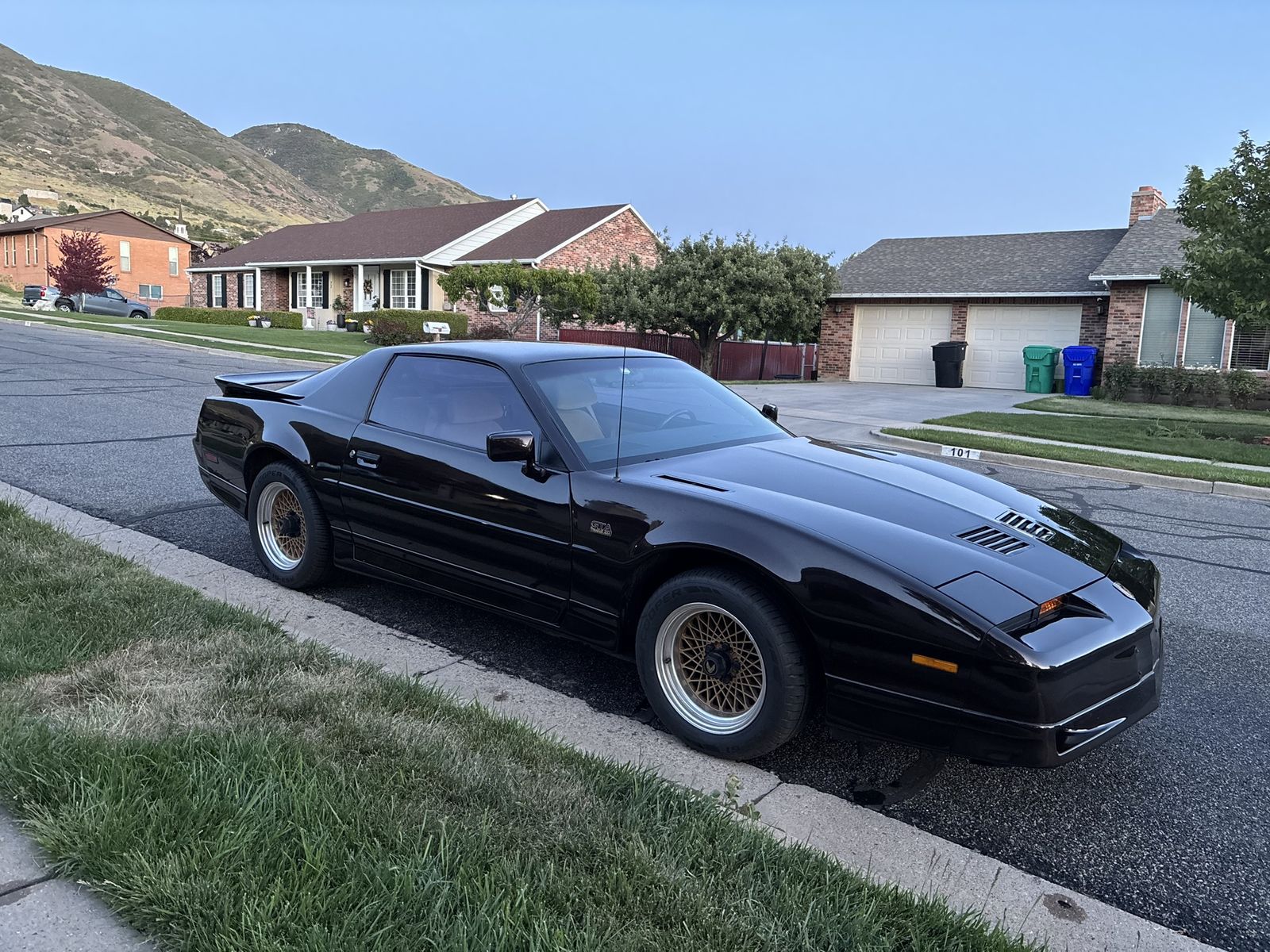 1987 Pontiac Firebird Trans Am GTA