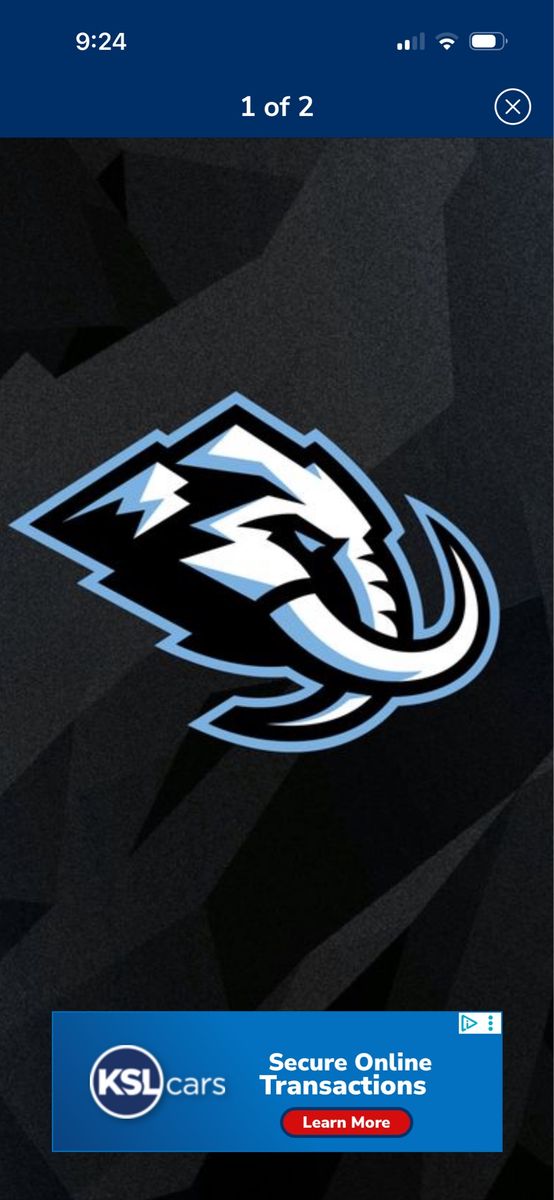 Mammoth - Capitals- Lower Bowl- Aisle