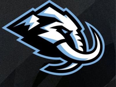 Mammoth - Capitals- Lower Bowl- Aisle