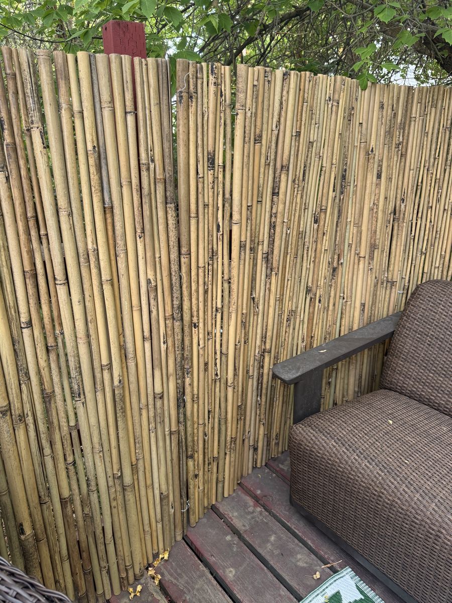 Bamboo fence panels