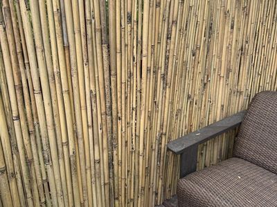Bamboo fence panels