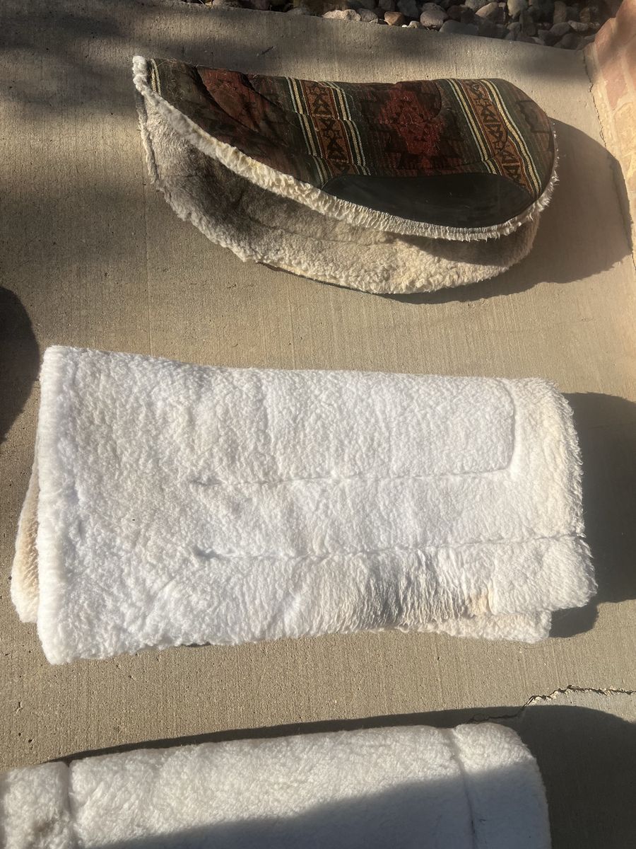 Assorted Wool and Contoured Saddle Pads - Good Used Condition