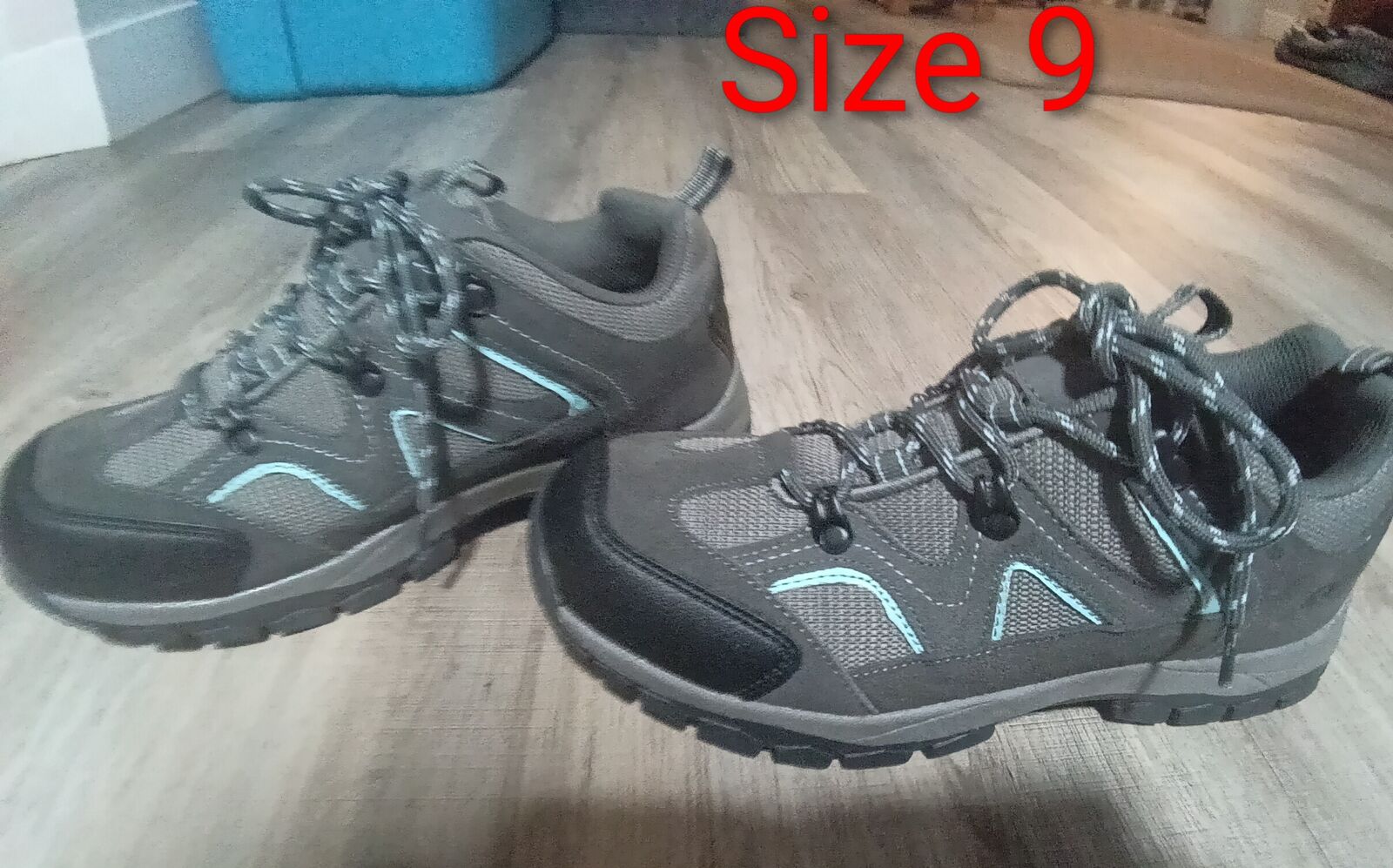 Women's hiking boots size 9