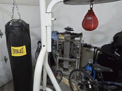 Everlast Heavy Bag + Speed Bag Stand Combo – Great