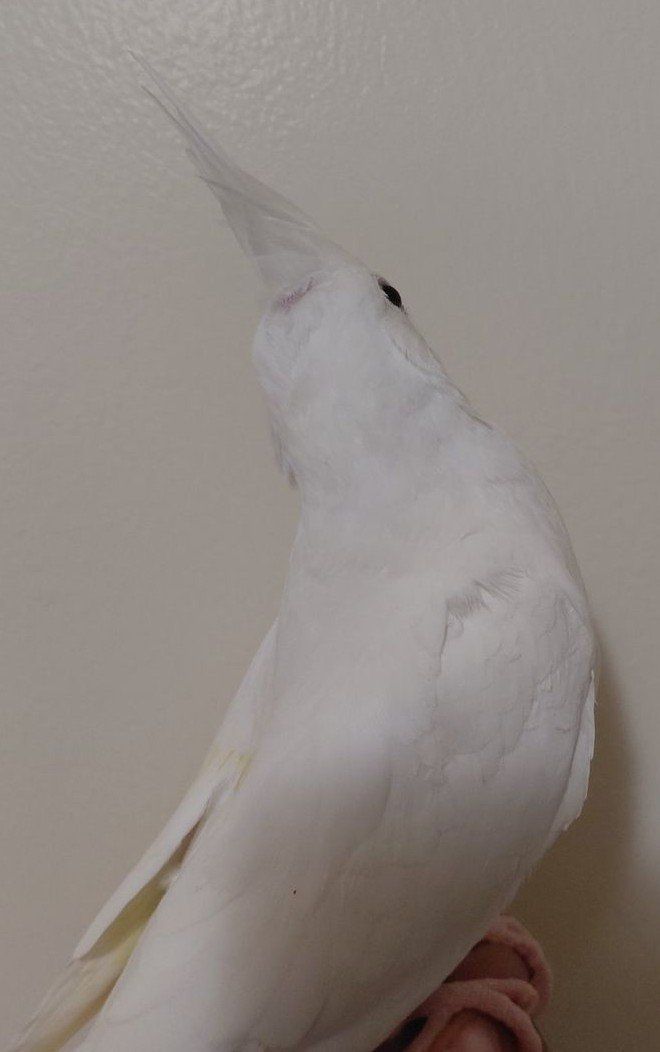 Main image 7