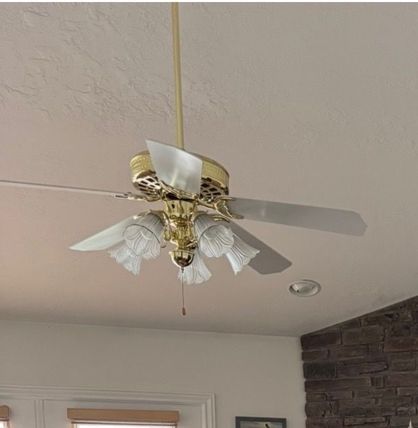 Ceiling Fan with 5 lights (48 inches)