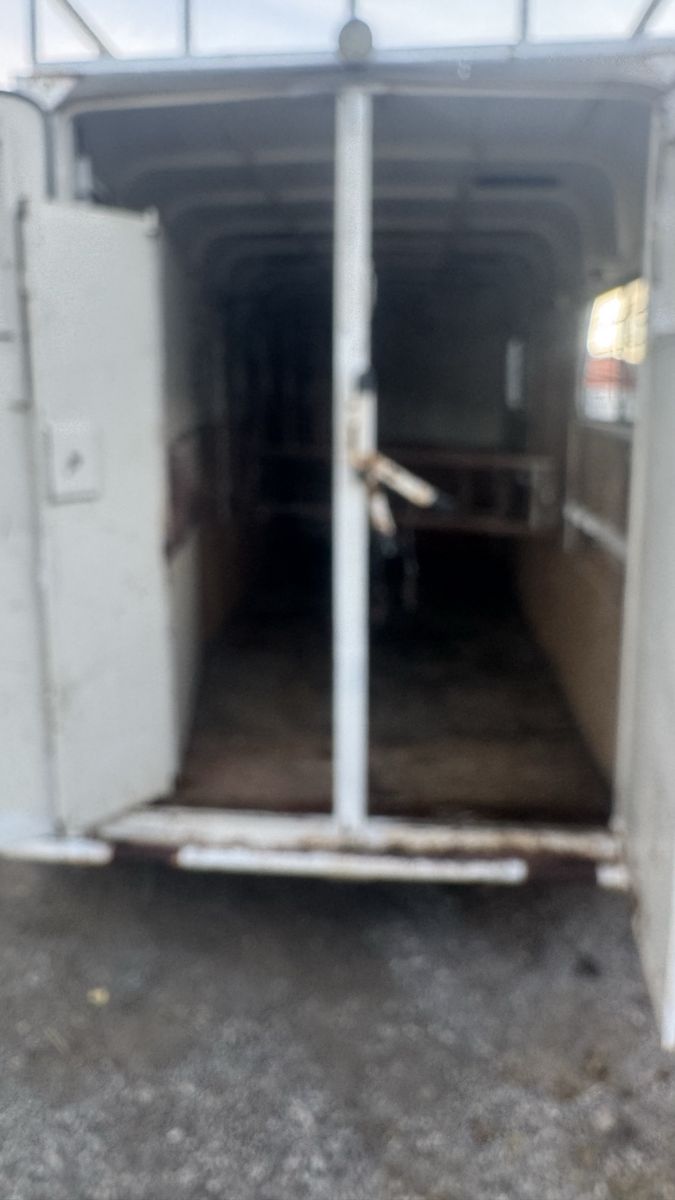 Main image 13