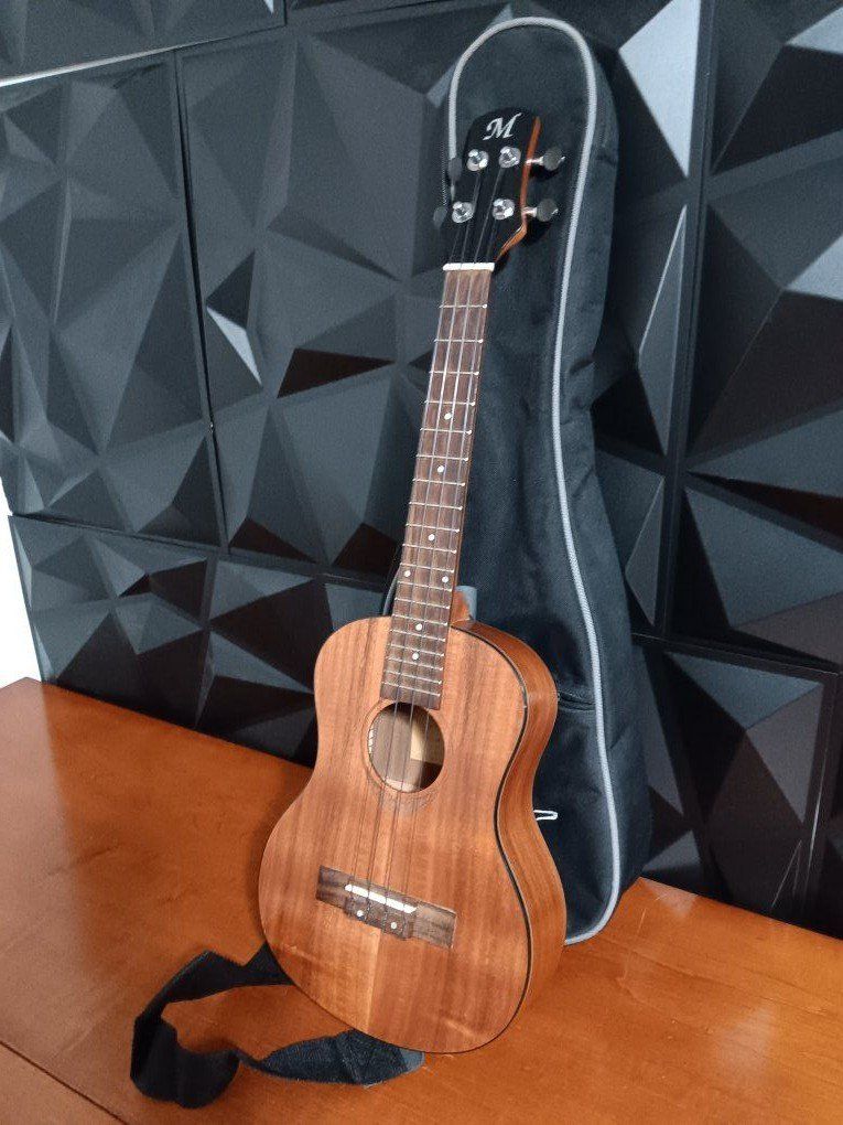 Handcrafted acoustic guitar from a brand Mania, mo