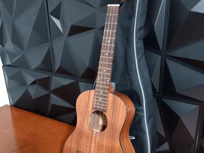 Handcrafted acoustic guitar from a brand Mania, mo
