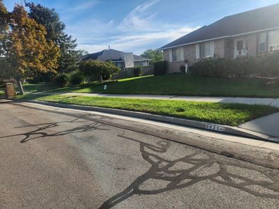 FREE Grass Sod