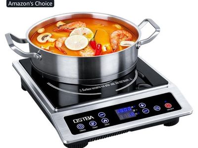 OSTBA 1800W Portable Induction Cooktop - Countertop Burner, 10 Power Levels, 3H Timer, ETL Certified