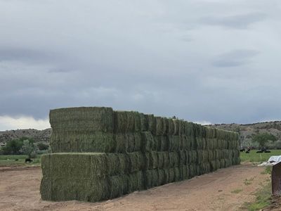 3x3 first crop alfalfa