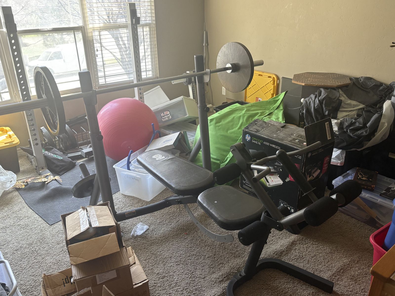 Gym Setup - Weight Bench, Squat Rack, & Plates