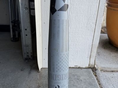 "The Goods" Baseball Bat