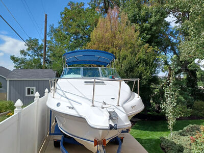 1996 250 SeaRay Sundance Cabin Cruiser