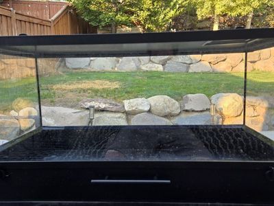 31 Gallon 36x18x12 Glass Reptile Terrarium with Pull-Out Tray