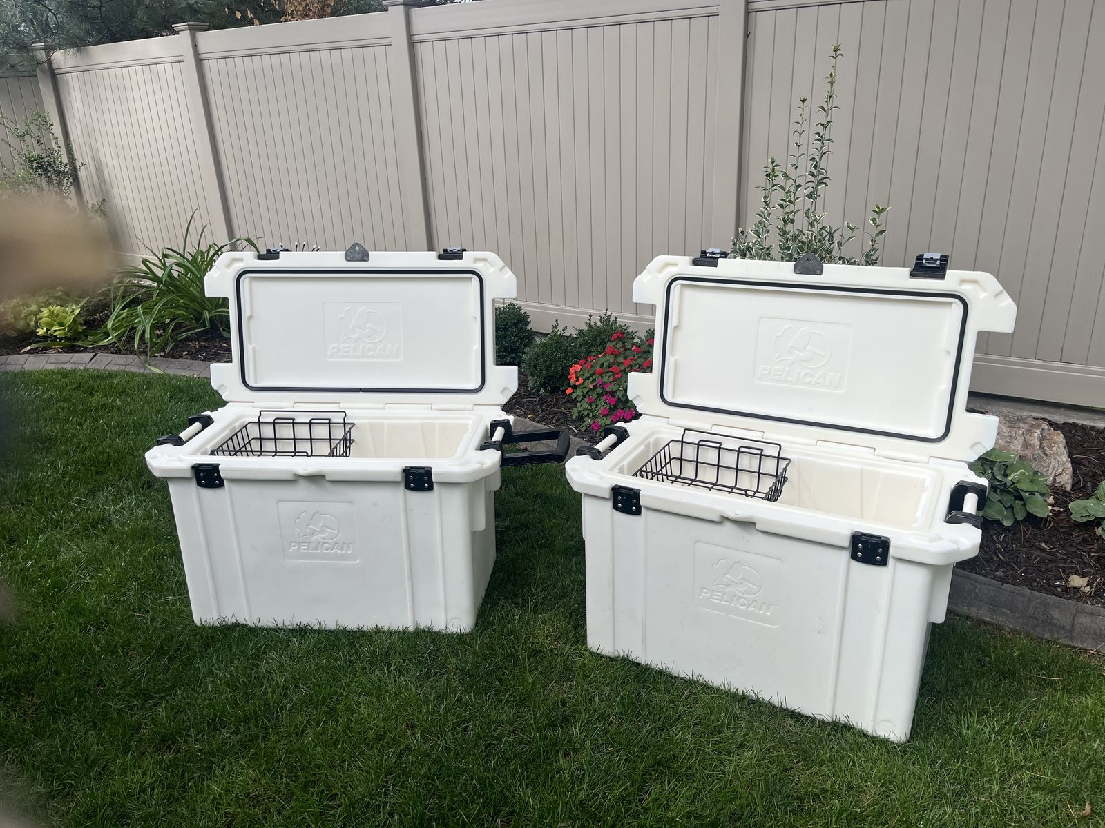 Pelican Cooler