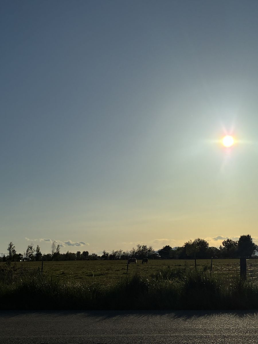 Water Share - Hooper Irrigation secondary water share