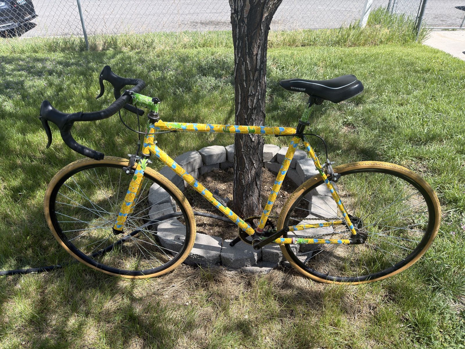 Fixie bike pineapple