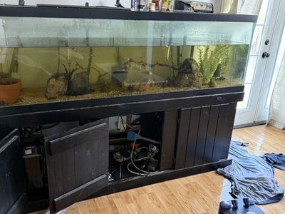 125 Gallon Tank And Stand