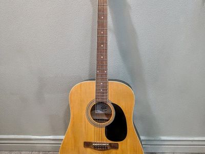 acoustic guitar