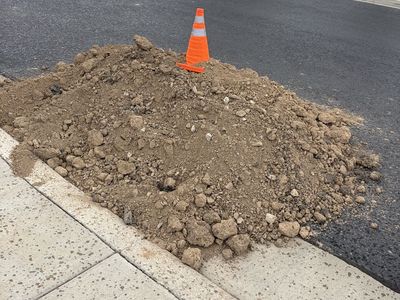 Free garden dirt