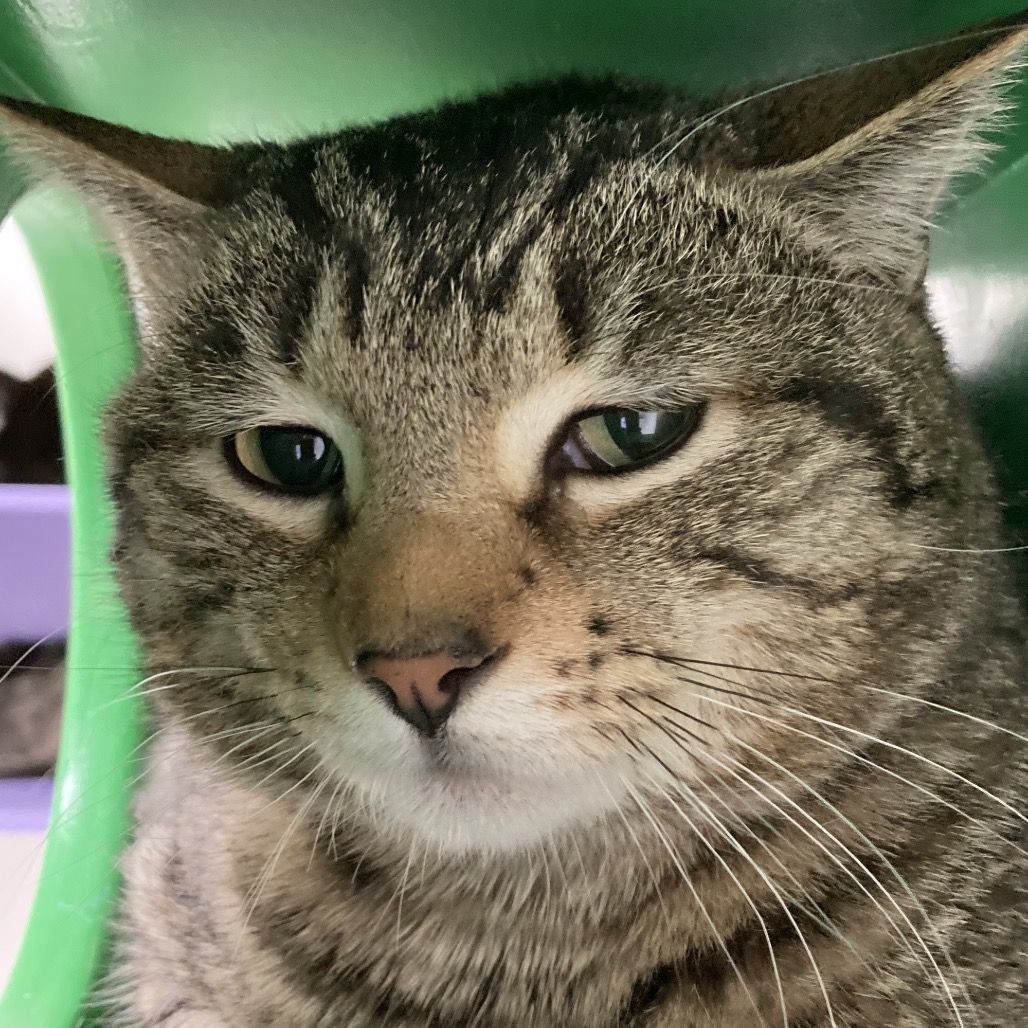 Hello my name is Magnus