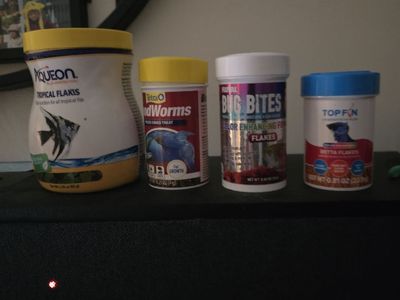 10 Gallon Fish Tank with Fish And Accessories