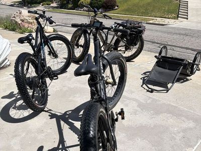 Mojo 700 W fat tire E bike $1,100.00 OR 1000 W Rambo fat tire bike 1000w Megatron for $1,500.00