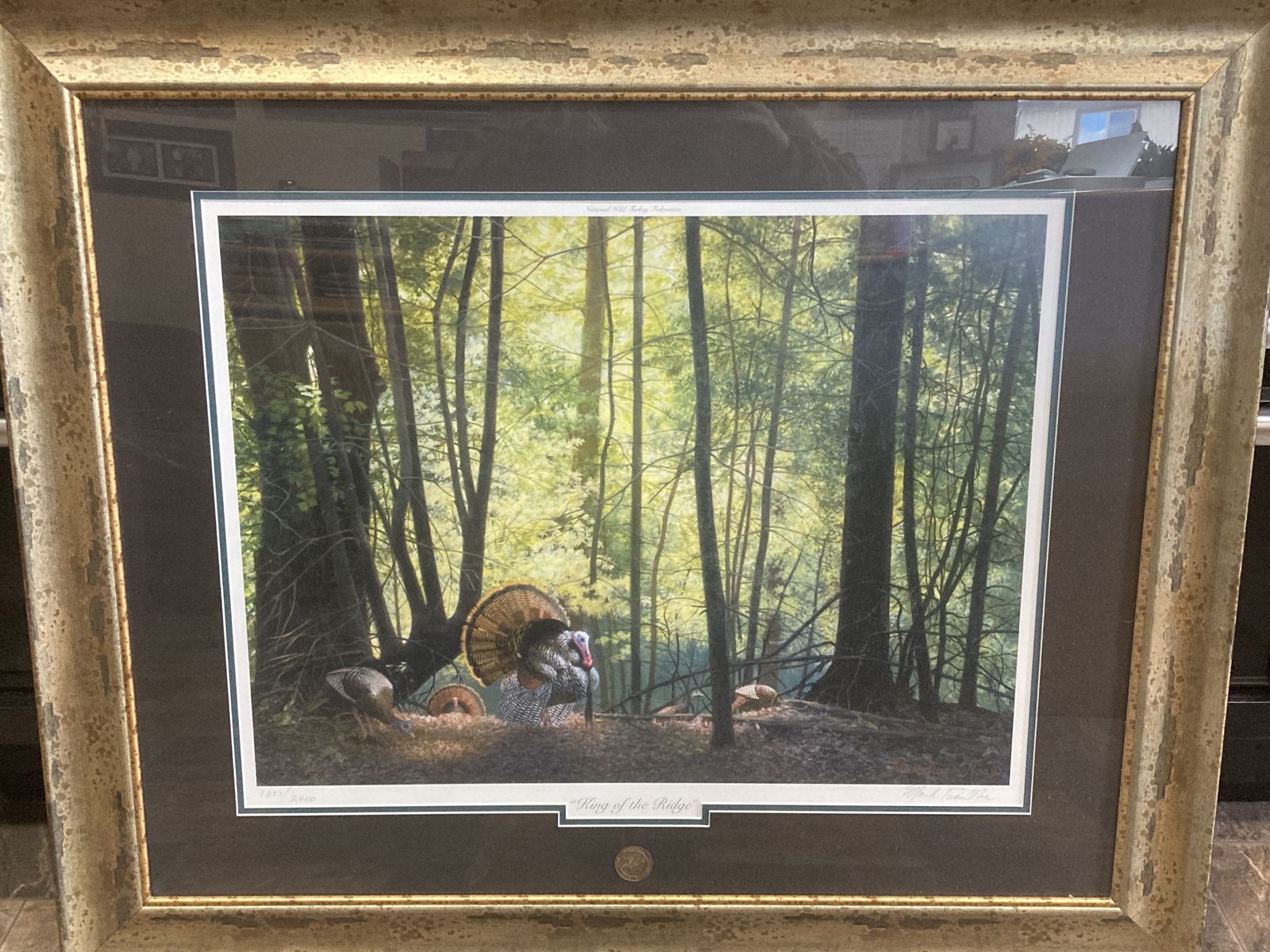NWTF Turkey print