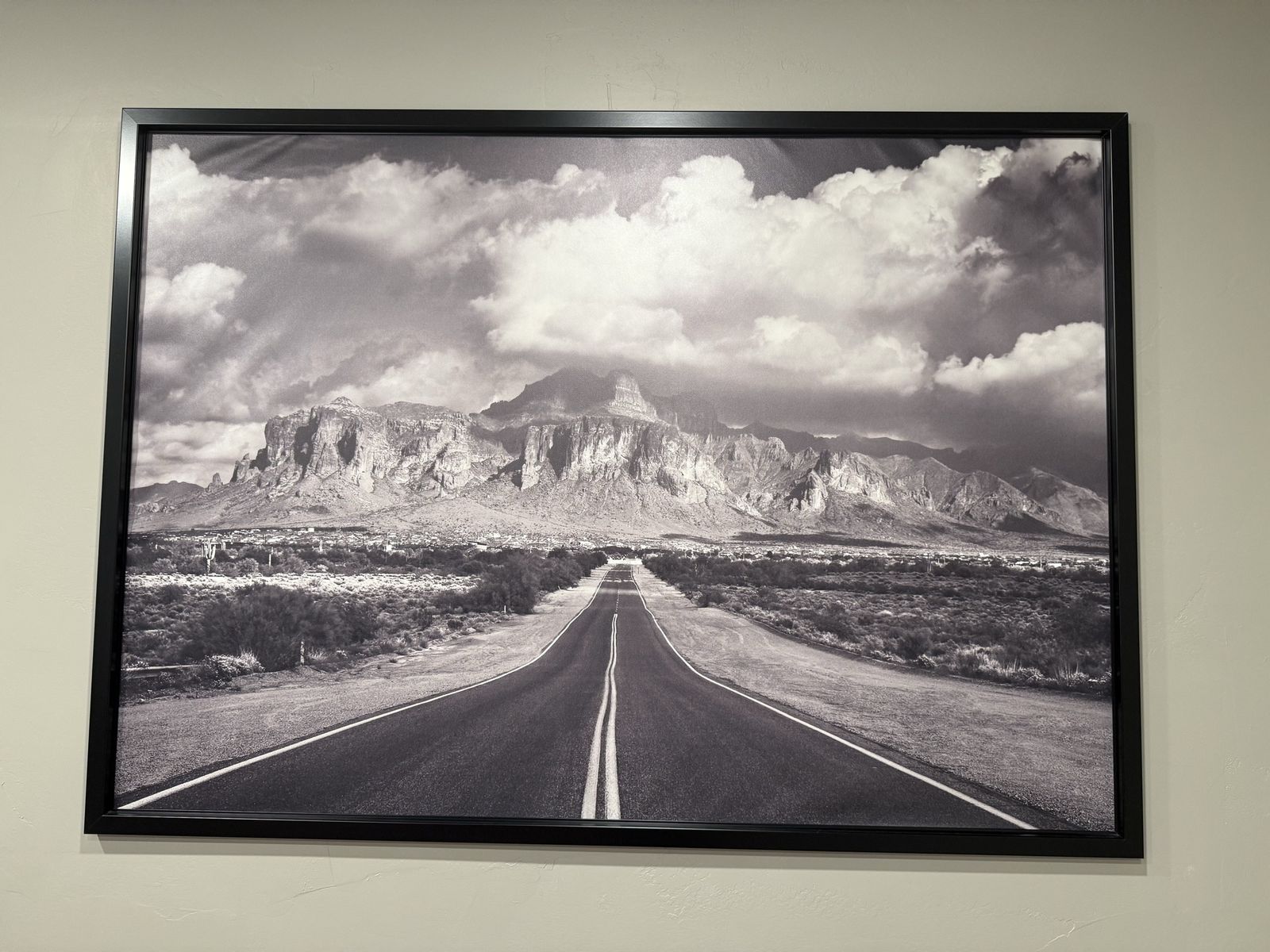 Large IKEA Framed Landscape Wall Art