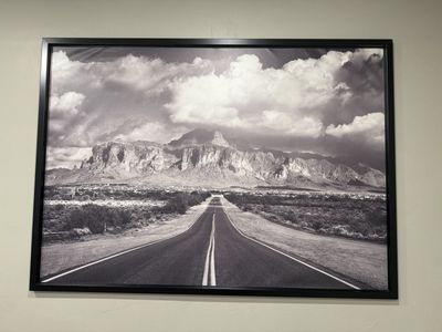 Large IKEA Framed Landscape Wall Art