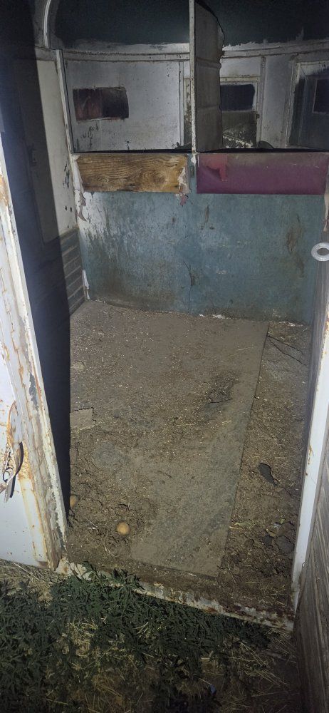 Main image 7