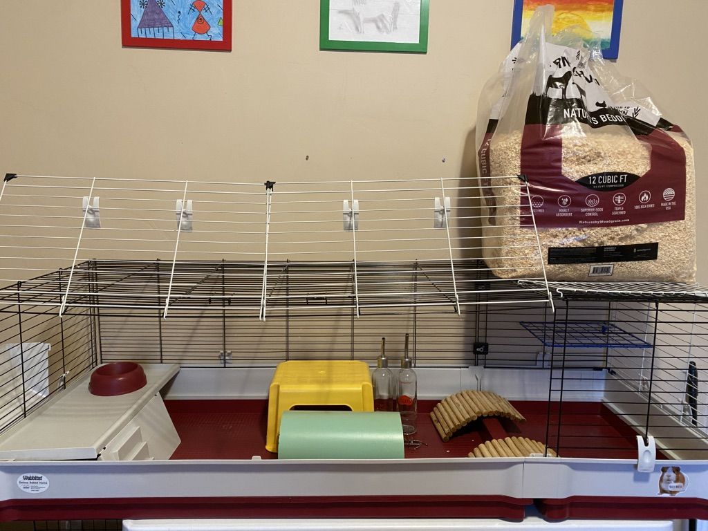 COMPLETE Setup For Guinea Pigs Or Small Rabbit