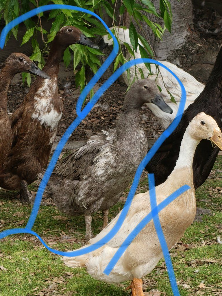Main image 2