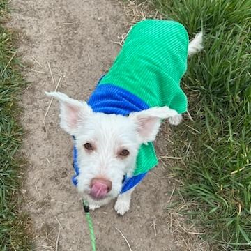 Hello my name is Neil